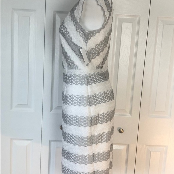 Antonio Melani White And Gray Lace Cap Sleeve V Neck Cocktail Dress size 6 - Picture 5 of 14